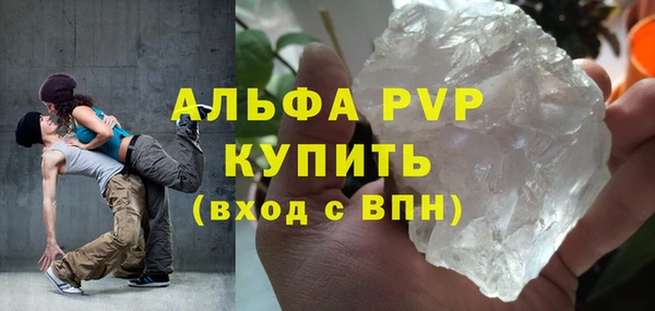 ПСИЛОЦИБИНОВЫЕ ГРИБЫ Валдай
