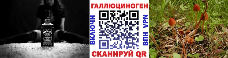Псилоцибиновые грибы Cubensis  Высоцк 