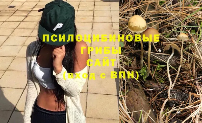 Псилоцибиновые грибы Magic Shrooms  Высоцк 